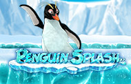 Penguin Splash