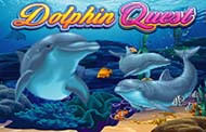 Dolphin Quest