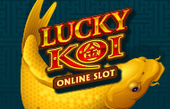 Lucky Koi
