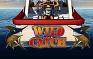 Wild Catch